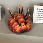 Cafe Trilobite Tea with a grant 1-2pm 25 March 2026